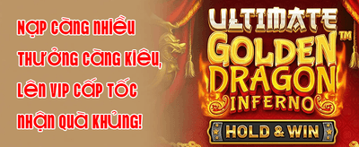 Daily Free Spins